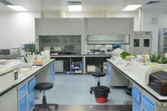河北如何在检验科实验室正确管理生物安全？